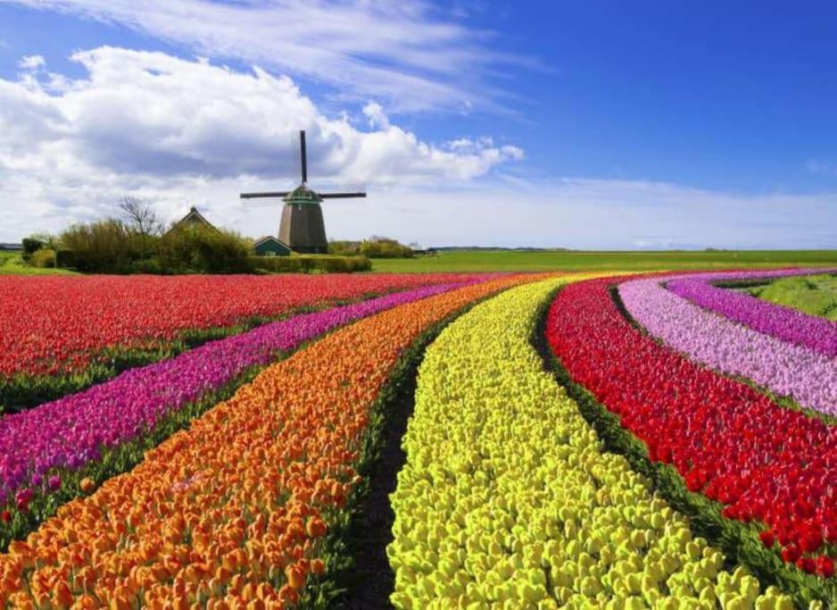 Studio Loet Schagen Exteriör bild